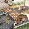 imageSmiry Couch Cover for Dogs Washable Non Slip Fuzzy Pet Couch Covers for 3 Cushion Sofa Pet Friendly Thick Soft Sofa Slipcovers Cushion Protector Green 276quot x 59quotDark Grey