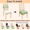 imageSmiry Waterproof Seat Covers for Chairs Set of 4 Stretch Pu Leather Removable Washable Dining Room Chair Seat Slipcovers Protector No Rear Covers BeigeLight Green