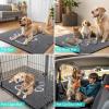 imageSmiry 2 Piece Dog Door Mat for Muddy Paws Absorbent Dirt Trapper Non Slip Quick Dry Washable Chenille Mat for Mud Dogs Entry Rug for Indoor and Outdoor 30x20 Inches BeigeDark Grey