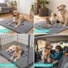 imageSmiry 2 Piece Dog Door Mat for Muddy Paws Absorbent Dirt Trapper Non Slip Quick Dry Washable Chenille Mat for Mud Dogs Entry Rug for Indoor and Outdoor 30x20 Inches BeigeGrey