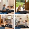 imageSmiry Dog Door Mat for Muddy Paws 59x24 Absorbs Moisture and Dirt Doormat NonSlip Washable Quick Dry Chenille Front Door Mat Indoor Entrance Entryway Carpet for Inside Floor CamelBlack