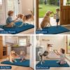 imageSmiry Dog Door Mat for Muddy Paws 59x24 Absorbs Moisture and Dirt Doormat NonSlip Washable Quick Dry Chenille Front Door Mat Indoor Entrance Entryway Carpet for Inside Floor CamelAtlantic Blue