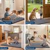imageSmiry Dog Door Mat for Muddy Paws 59x24 Absorbs Moisture and Dirt Doormat NonSlip Washable Quick Dry Chenille Front Door Mat Indoor Entrance Entryway Carpet for Inside Floor CamelDark Grey