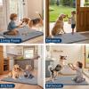 imageSmiry Dog Door Mat for Muddy Paws 59x24 Absorbs Moisture and Dirt Doormat NonSlip Washable Quick Dry Chenille Front Door Mat Indoor Entrance Entryway Carpet for Inside Floor CamelGrey
