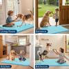 imageSmiry Dog Door Mat for Muddy Paws 59x24 Absorbs Moisture and Dirt Doormat NonSlip Washable Quick Dry Chenille Front Door Mat Indoor Entrance Entryway Carpet for Inside Floor CamelSky Blue