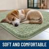 imageSmiry Dog Door Mat for Muddy Paws 59x24 Absorbs Moisture and Dirt Doormat NonSlip Washable Quick Dry Chenille Front Door Mat Indoor Entrance Entryway Carpet for Inside Floor CamelSage Green