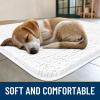 imageSmiry Dog Door Mat for Muddy Paws 59x24 Absorbs Moisture and Dirt Doormat NonSlip Washable Quick Dry Chenille Front Door Mat Indoor Entrance Entryway Carpet for Inside Floor CamelWhite