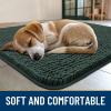imageSmiry Dog Door Mat for Muddy Paws 59x24 Absorbs Moisture and Dirt Doormat NonSlip Washable Quick Dry Chenille Front Door Mat Indoor Entrance Entryway Carpet for Inside Floor CamelGreen