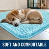 imageSmiry Dog Door Mat for Muddy Paws 59x24 Absorbs Moisture and Dirt Doormat NonSlip Washable Quick Dry Chenille Front Door Mat Indoor Entrance Entryway Carpet for Inside Floor CamelSky Blue