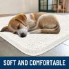 imageSmiry Dog Door Mat for Muddy Paws 59x24 Absorbs Moisture and Dirt Doormat NonSlip Washable Quick Dry Chenille Front Door Mat Indoor Entrance Entryway Carpet for Inside Floor CamelIvory
