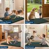 imageSmiry Dog Door Mat for Muddy Paws 59x24 Absorbs Moisture and Dirt Doormat NonSlip Washable Quick Dry Chenille Front Door Mat Indoor Entrance Entryway Carpet for Inside Floor CamelGreen