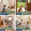 imageSmiry Dog Door Mat for Muddy Paws 59x24 Absorbs Moisture and Dirt Doormat NonSlip Washable Quick Dry Chenille Front Door Mat Indoor Entrance Entryway Carpet for Inside Floor CamelOlive Green