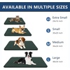 image:imageSmiry Dog Door Mat for Muddy Paws 24x16 Absorbent Microfiber Dirt Trapper Pet Doormat NonSlip Washable Quick Dry Chenille Front Door Mat Entryway Rug for Indoor and Outdoor GreyGreen