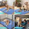 image:imageSmiry Dog Door Mat for Muddy Paws Absorbent Non Slip Dirt Trapper 47x32Cornflower Blue and White