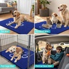 image:imageSmiry Dog Door Mat for Muddy Paws Absorbent Non Slip Dirt Trapper 47x32Royal Blue and White