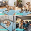 image:imageSmiry Dog Door Mat for Muddy Paws Absorbent Non Slip Dirt Trapper 47x32Sky Blue and White